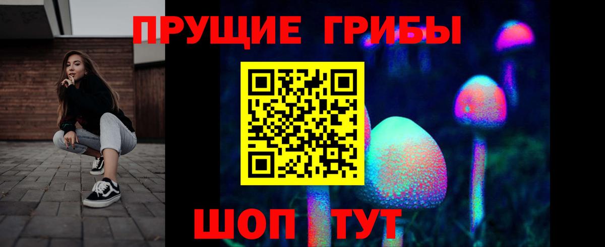 Амурск  Галлюциногенные грибы Psilocybe  Псилоцибиновые грибы мицелий  Вход с VPN 