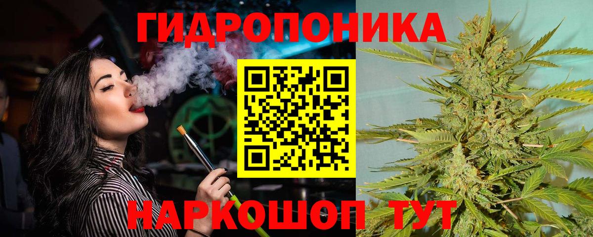Амурск  Конопля сатива  Вход с VPN  Каннабис план  Бошки марихуана конопля 